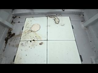 ヤンマー DE30-BL