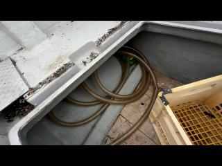 ヤンマー DE30-BL