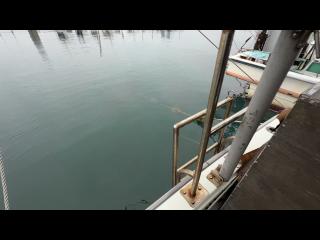 ヤンマー DE30-BL