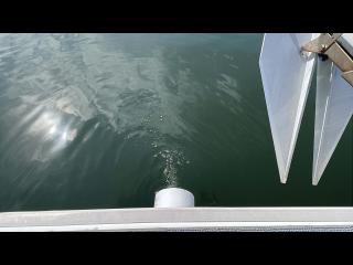 船甚造船所 FJ55