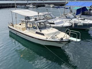 ヤンマー マリンハンター FZ22B