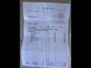 ヤンマー トリマーレFL27-IS