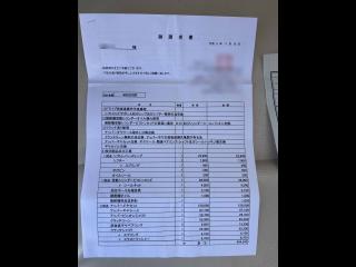 ヤンマー トリマーレFL27-IS