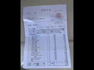 ヤンマー トリマーレFL27-IS