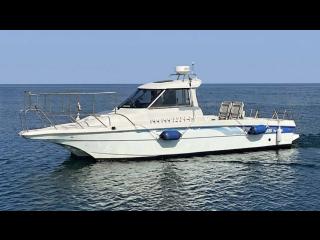 ヤンマー トリマーレFL27-IS