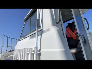 ヤンマー トリマーレFL27-IS