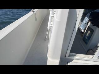 ヤンマー トリマーレFL27-IS