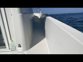 ヤンマー トリマーレFL27-IS