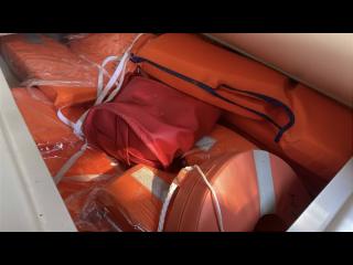 ヤンマー トリマーレFL27-IS