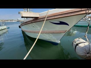 ヤンマー あらしおDE31