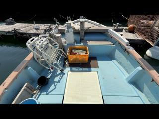 ヤンマー あらしおDE31