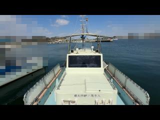 ヤンマー あらしおDE31