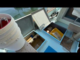 ヤンマー あらしおDE31