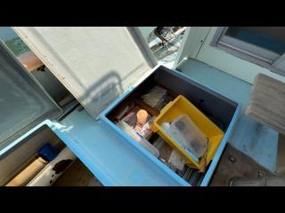 ヤンマー あらしおDE31