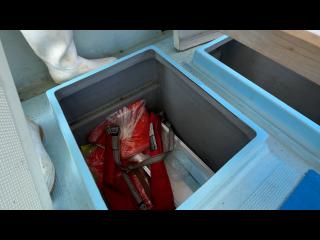 ヤンマー あらしおDE31