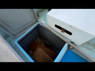 ヤンマー あらしおDE31