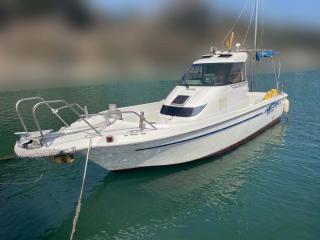 ヤンマー FX24BZⅡ-IS