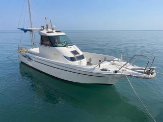 ヤンマー FX24BZⅡ-IS