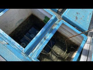 柏木造船所 遊漁船46フィート