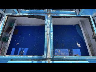 柏木造船所 遊漁船46フィート