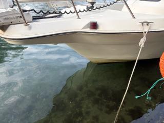 ヤンマー FX26ZⅡ-IS(トップラン)