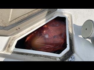 スズキ F250HTハードトップ