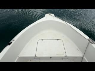 マリンパワーインターナショナルリミテッド シーブリーム MF630