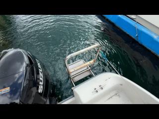 マリンパワーインターナショナルリミテッド シーブリーム MF630