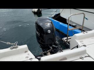 マリンパワーインターナショナルリミテッド シーブリーム MF630