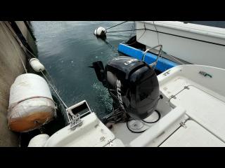 マリンパワーインターナショナルリミテッド シーブリーム MF630