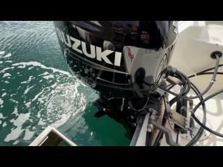 マリンパワーインターナショナルリミテッド シーブリーム MF630