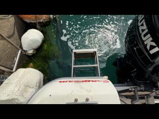 マリンパワーインターナショナルリミテッド シーブリーム MF630