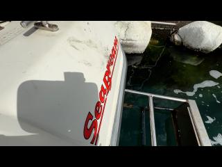 マリンパワーインターナショナルリミテッド シーブリーム MF630