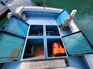 ヤンマー GA37(共立レジンクラフト)