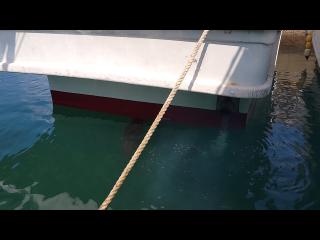 ヤンマー GA37(共立レジンクラフト)