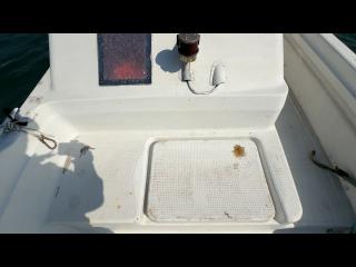 ヤマハ UF-20(タックル20)