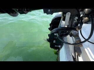 ヤマハ UF-20(タックル20)