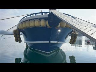 田中造船 TF50Ⅲ