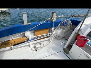 田中造船 TF50Ⅲ