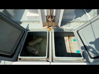 ヤンマー あらしおDE34BF