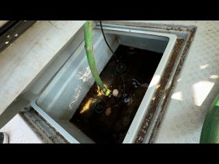 ヤンマー あらしおDE34BF