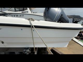 ヤマハ エアロギア AG-21