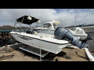 ヤマハ エアロギア AG-21