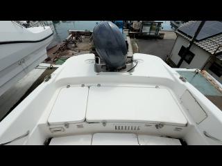 ヤマハ エアロギア AG-21