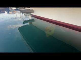 浜石造船所 浜石造船所32フィート漁船