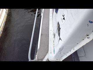 ニッサン FS800NHT