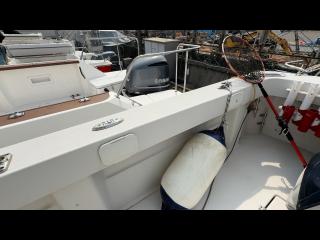 ヤンマー  EX34A-BSA