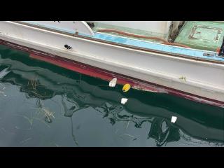 波津造船所 一本釣り漁船45フィート