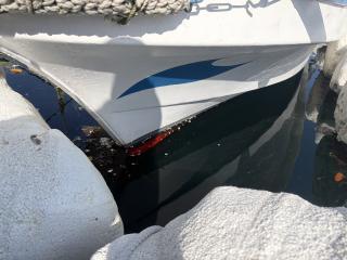 ヤンマー 21フィート漁船