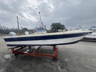 ヤマハ ヤマハ W-20PH